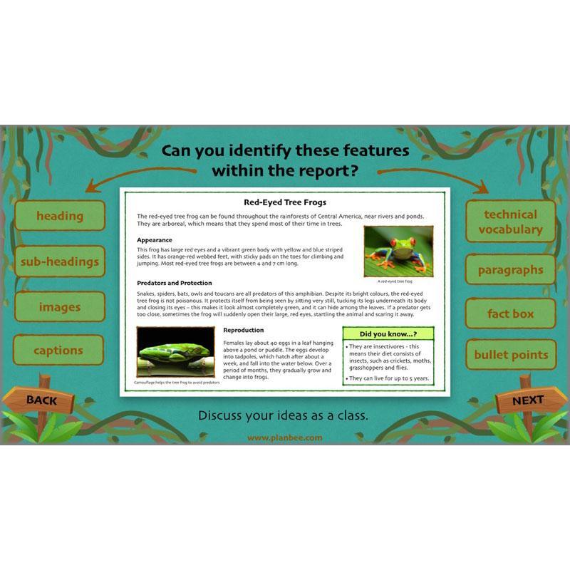 PlanBee Lost in the Rainforest: Non chronological Reports Year 3 English Plans & Resources