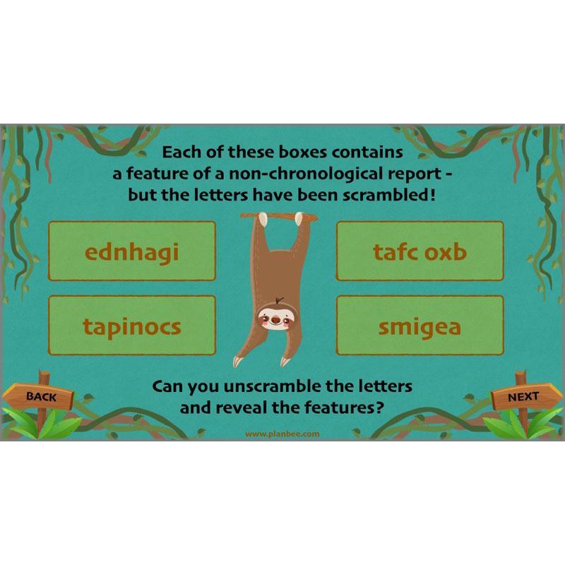 PlanBee Lost in the Rainforest: Non chronological Reports Year 3 English Plans & Resources