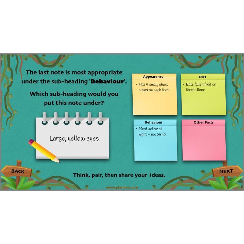 PlanBee Lost in the Rainforest: Non chronological Reports Year 3 English Plans & Resources