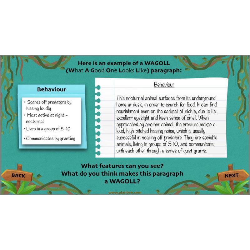 PlanBee Lost in the Rainforest: Non chronological Reports Year 3 English Plans & Resources