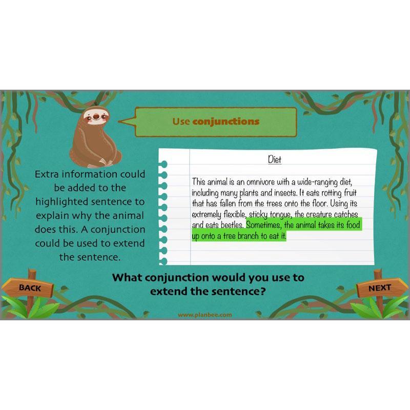 PlanBee Lost in the Rainforest: Non chronological Reports Year 3 English Plans & Resources