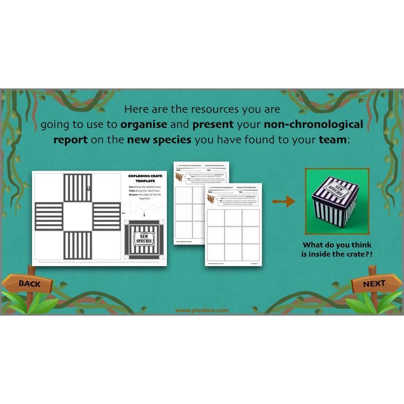 PlanBee Lost in the Rainforest: Non chronological Reports Year 3 English Plans & Resources
