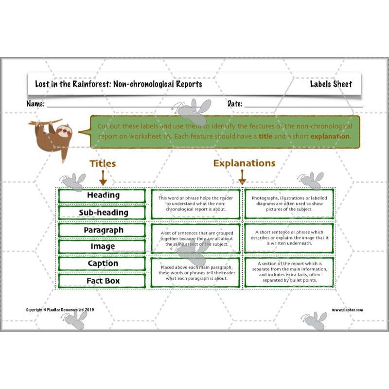 PlanBee Lost in the Rainforest: Non chronological Reports Year 3 English Plans & Resources