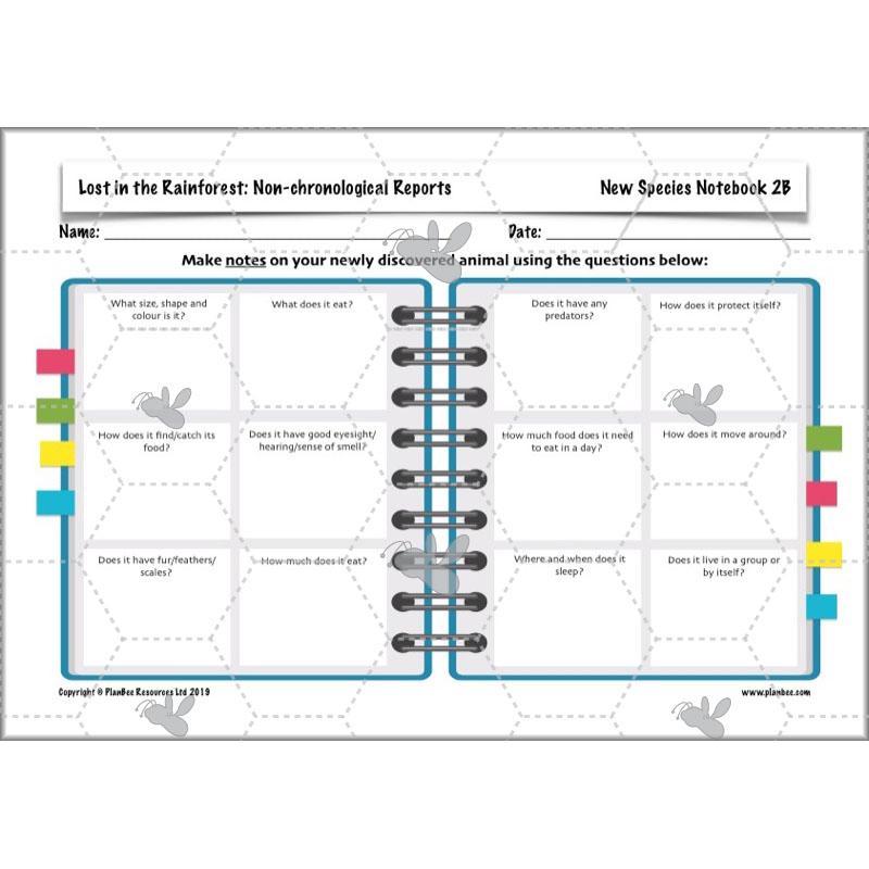 PlanBee Lost in the Rainforest: Non chronological Reports Year 3 English Plans & Resources
