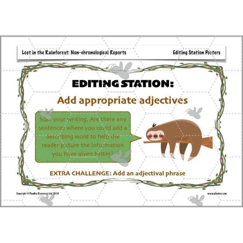 PlanBee Lost in the Rainforest: Non chronological Reports Year 3 English Plans & Resources
