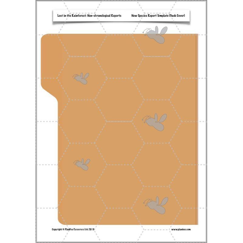 PlanBee Lost in the Rainforest: Non chronological Reports Year 3 English Plans & Resources