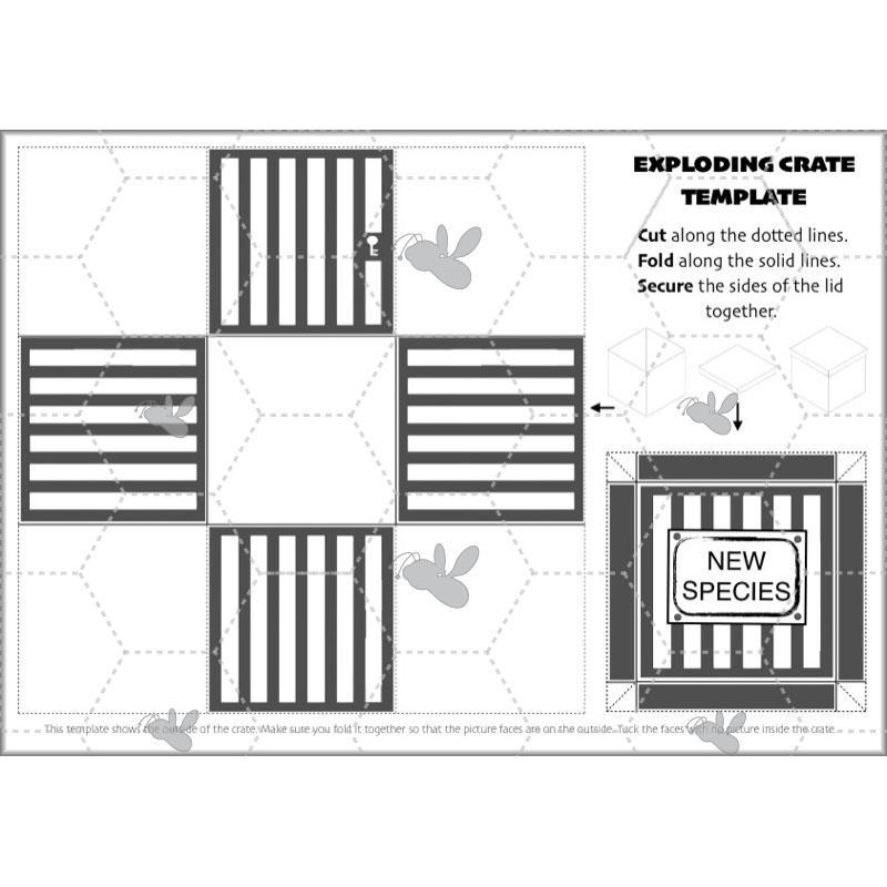 PlanBee Lost in the Rainforest: Non chronological Reports Year 3 English Plans & Resources