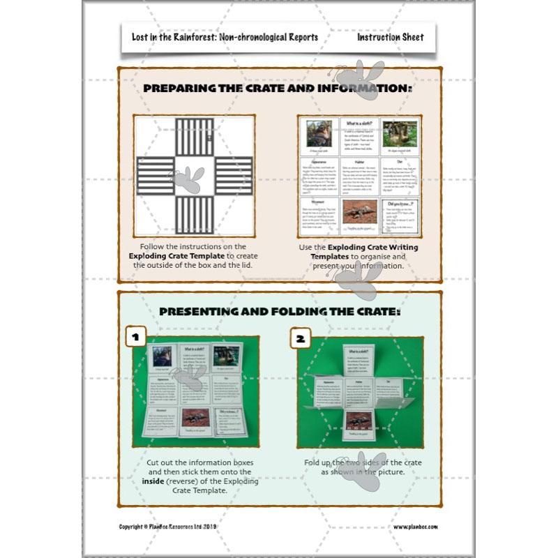 PlanBee Lost in the Rainforest: Non chronological Reports Year 3 English Plans & Resources