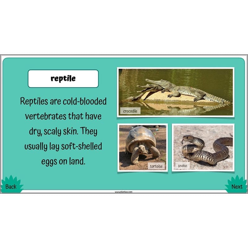 PlanBee Living Things and their Habitats Year 4 Science Lessons