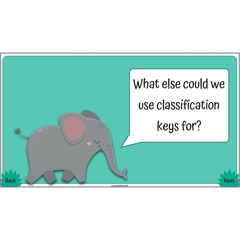 PlanBee Living Things and their Habitats Year 4 Science Lessons