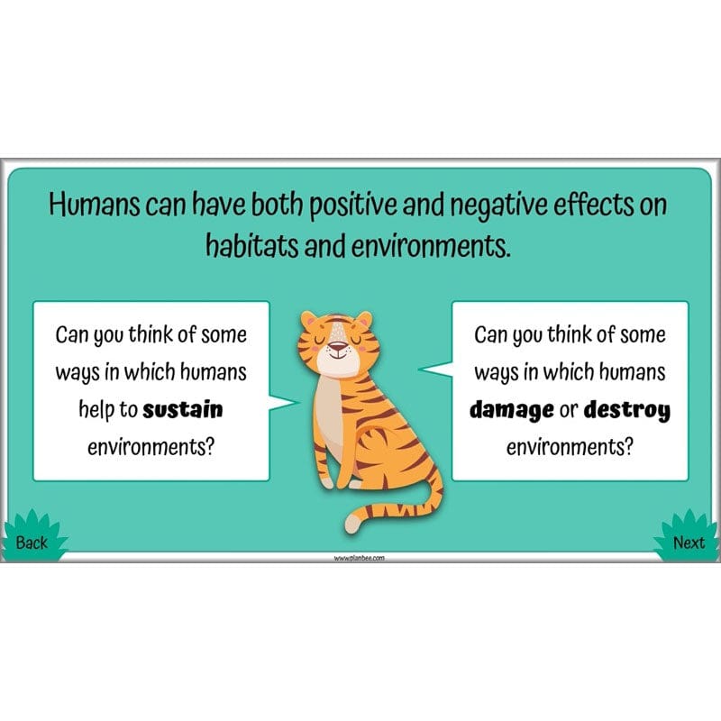 PlanBee Living Things and their Habitats Year 4 Science Lessons