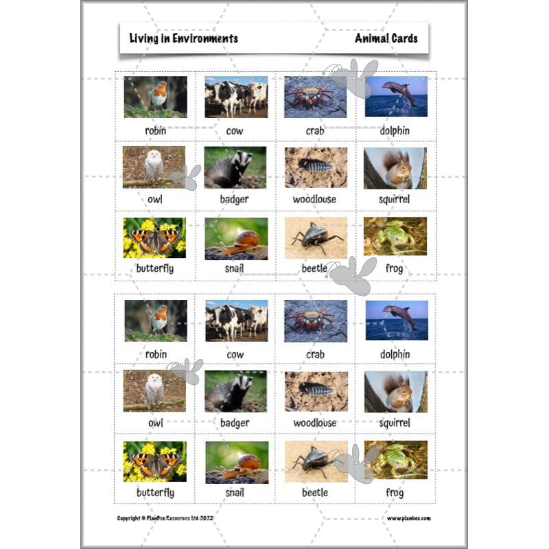 PlanBee Living Things and their Habitats Year 4 Science Lessons