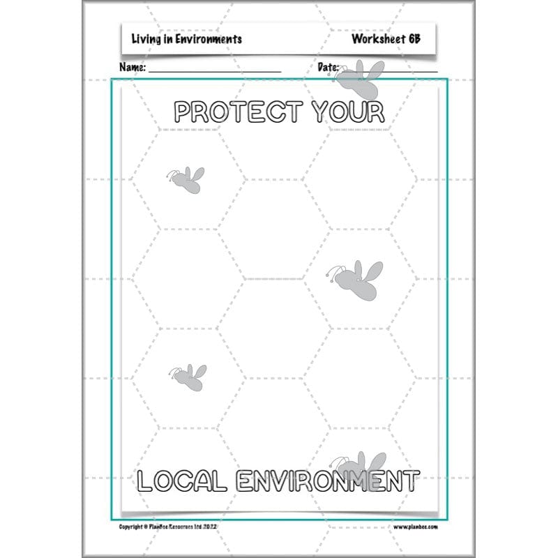 PlanBee Living Things and their Habitats Year 4 Science Lessons