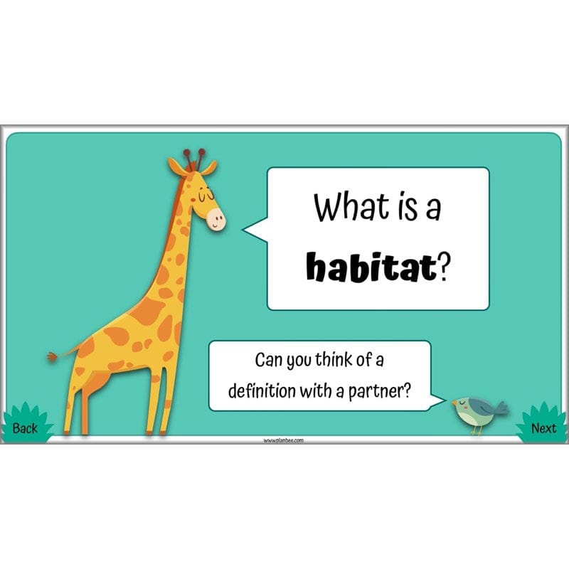 PlanBee Living Things and their Habitats Year 4 Science Lessons