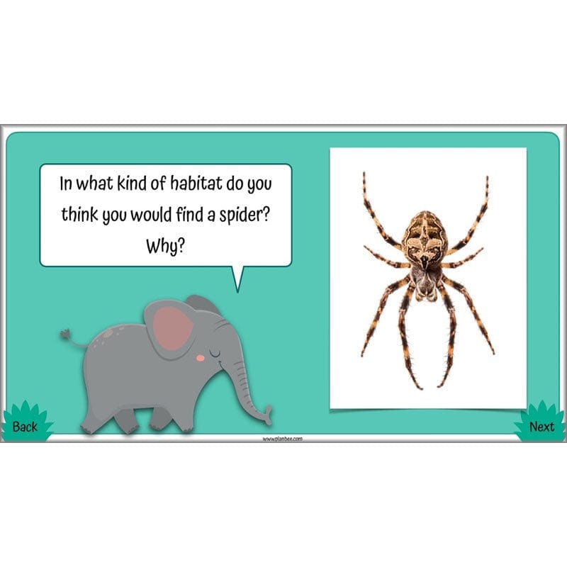 PlanBee Living Things and their Habitats Year 4 Science Lessons