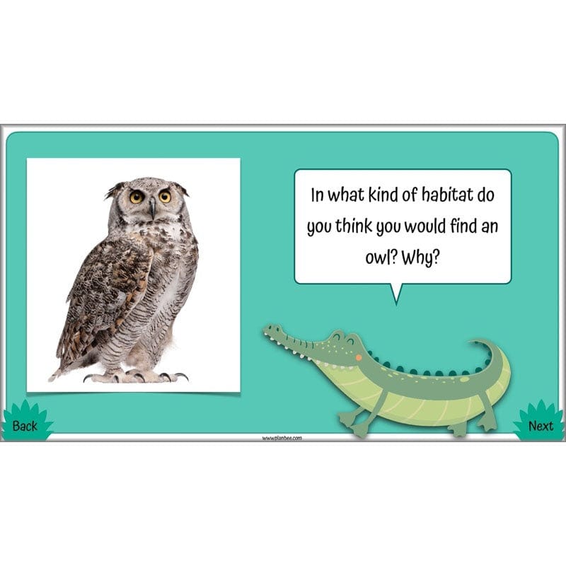 PlanBee Living Things and their Habitats Year 4 Science Lessons