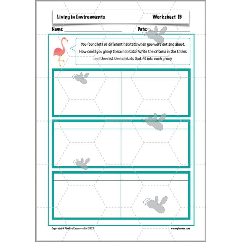 PlanBee Living Things and their Habitats Year 4 Science Lessons
