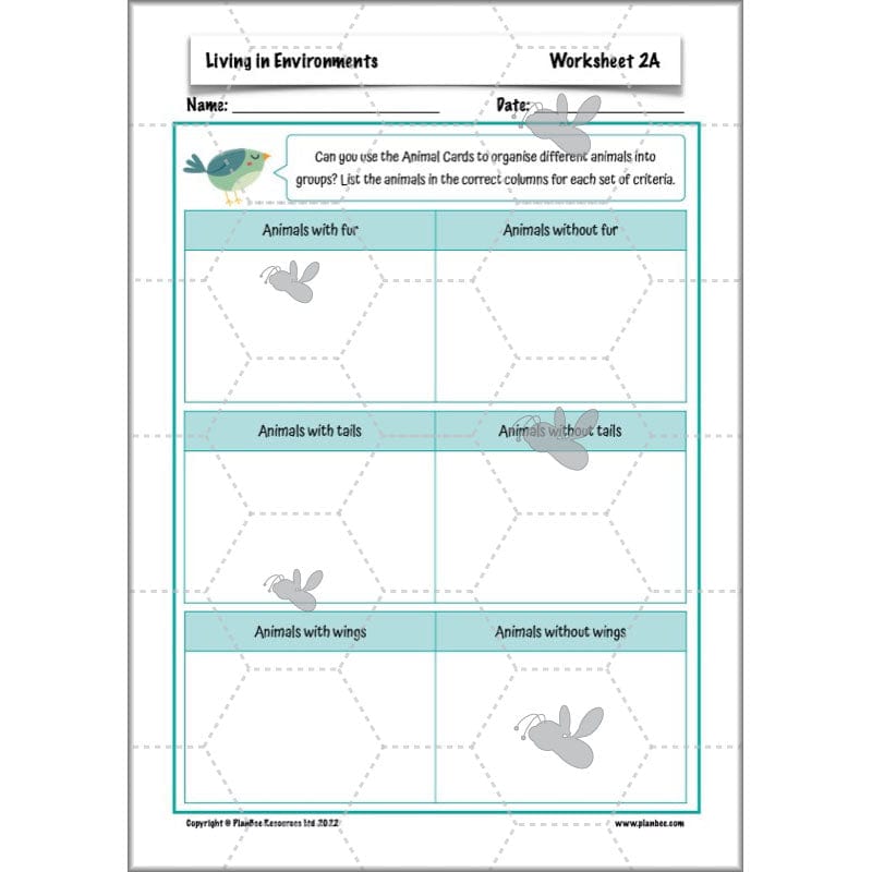 PlanBee Living Things and their Habitats Year 4 Science Lessons