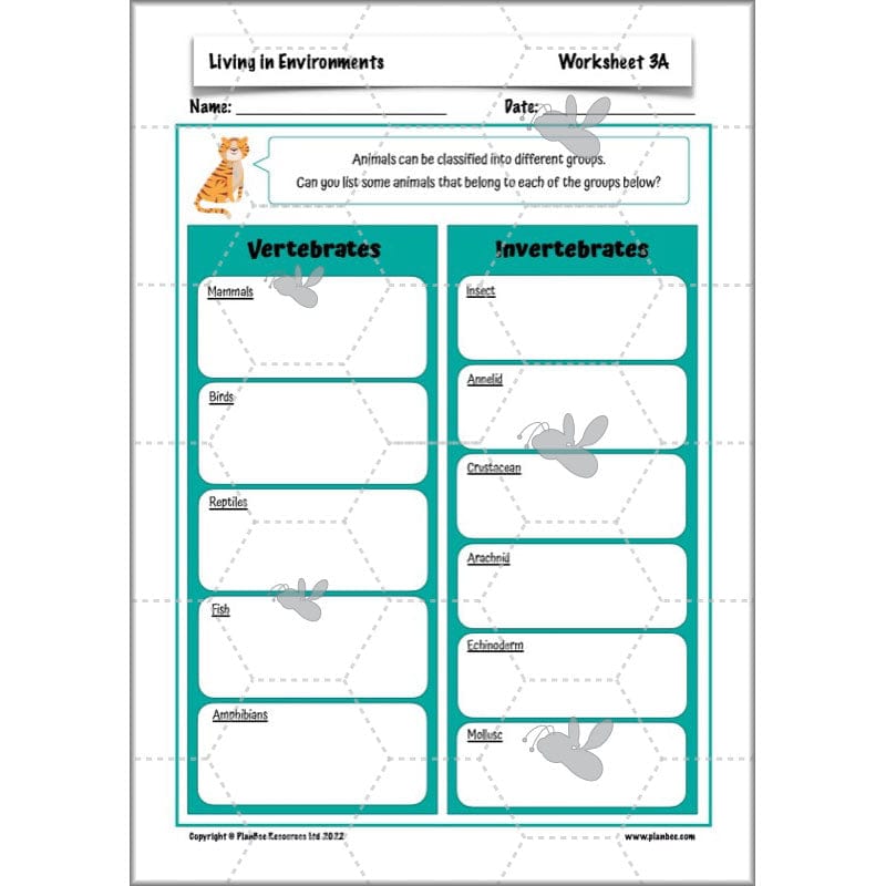 PlanBee Living Things and their Habitats Year 4 Science Lessons