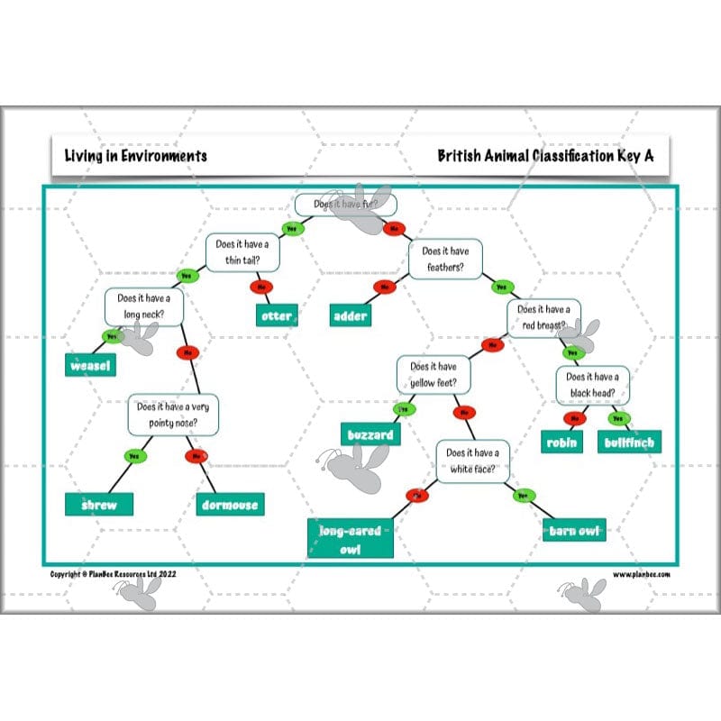 PlanBee Living Things and their Habitats Year 4 Science Lessons