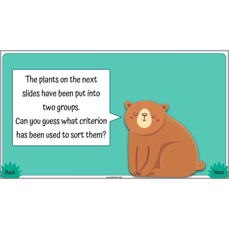 PlanBee Living Things and their Habitats Year 4 Science Lessons