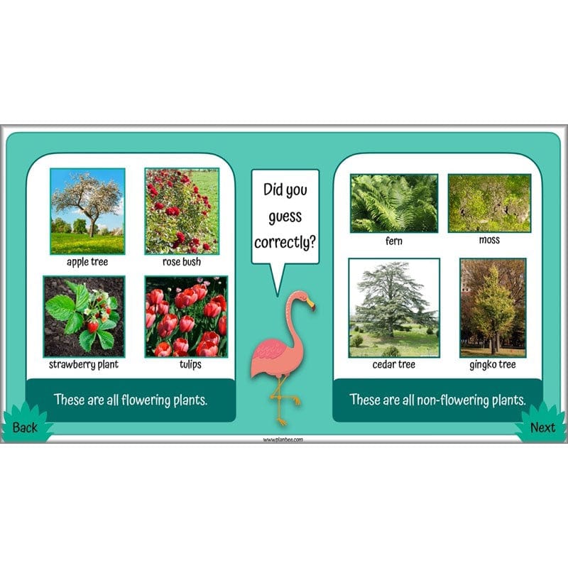 PlanBee Living Things and their Habitats Year 4 Science Lessons