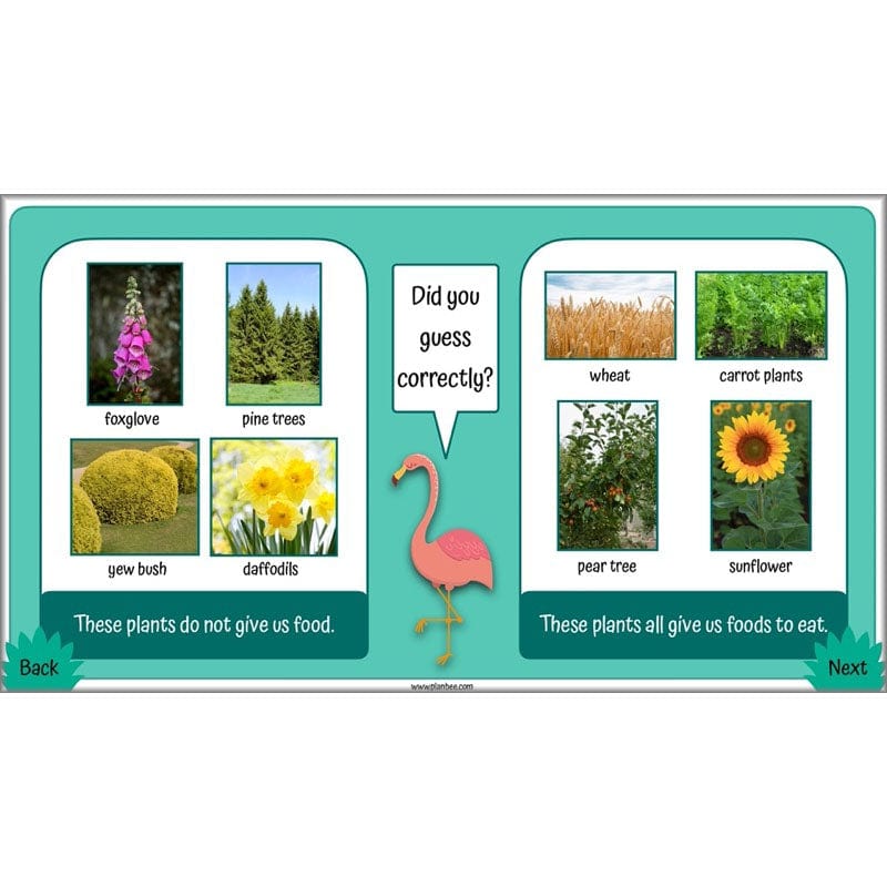 PlanBee Living Things and their Habitats Year 4 Science Lessons