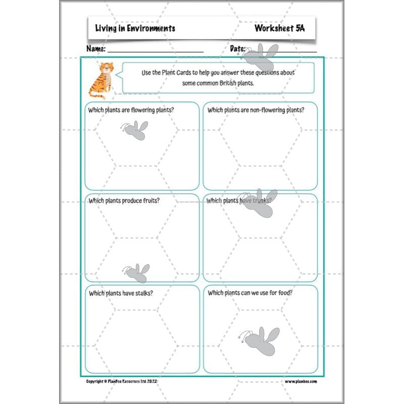 PlanBee Living Things and their Habitats Year 4 Science Lessons