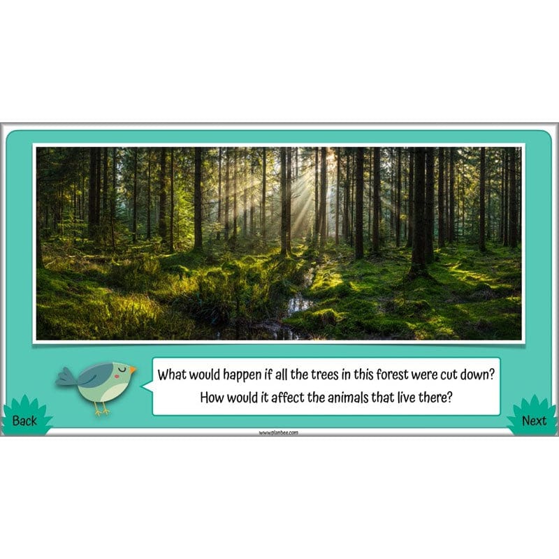 PlanBee Living Things and their Habitats Year 4 Science Lessons