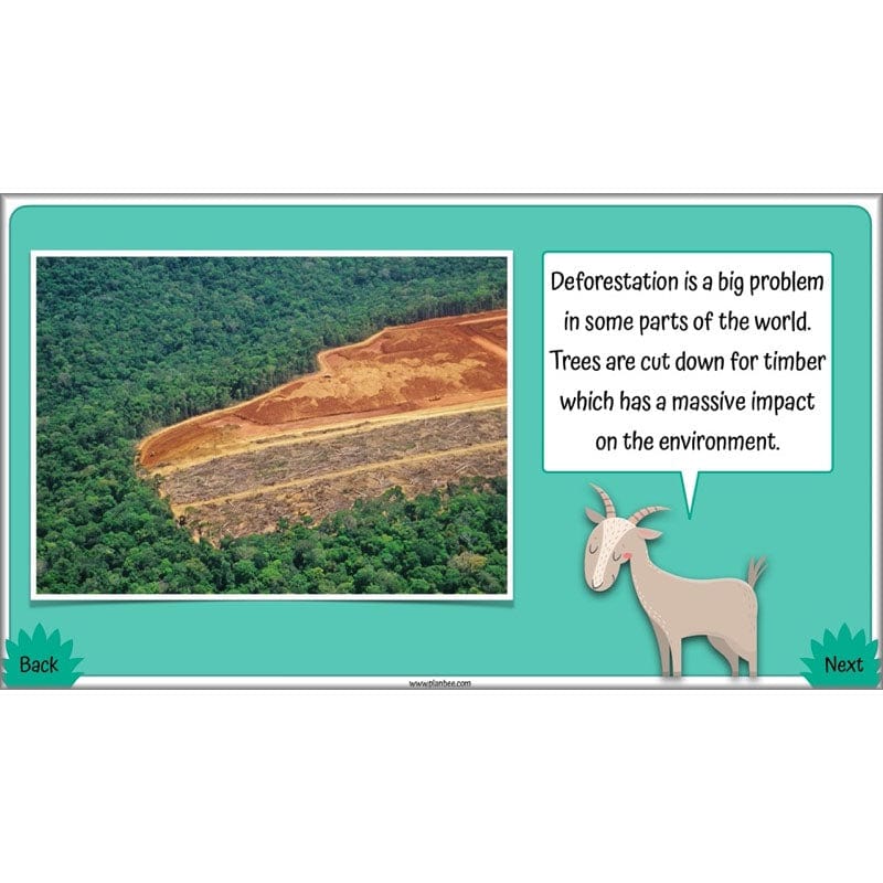 PlanBee Living Things and their Habitats Year 4 Science Lessons