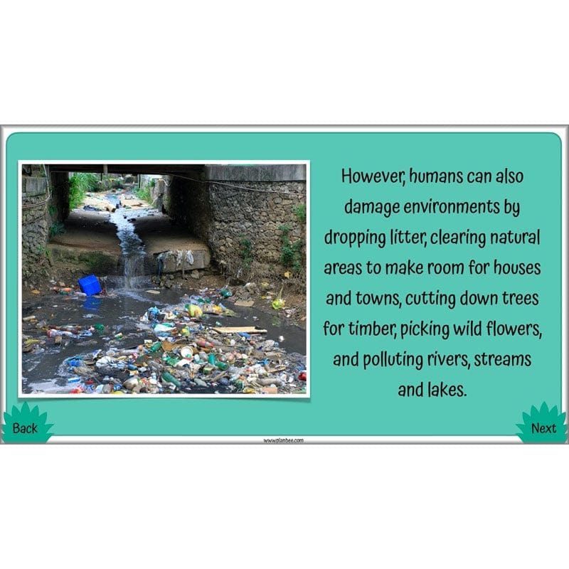 PlanBee Living Things and their Habitats Year 4 Science Lessons