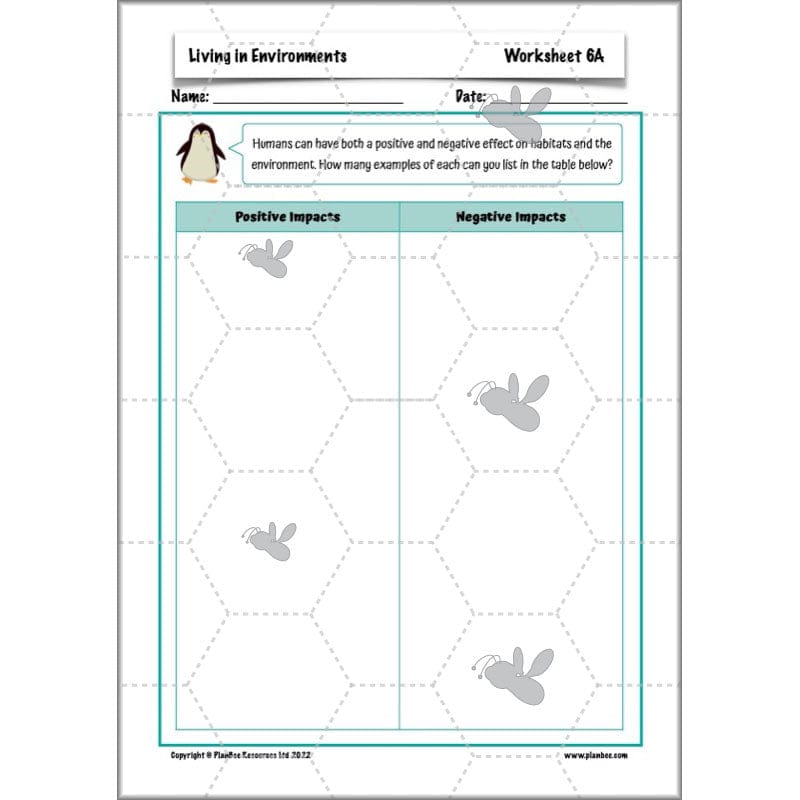 PlanBee Living Things and their Habitats Year 4 Science Lessons