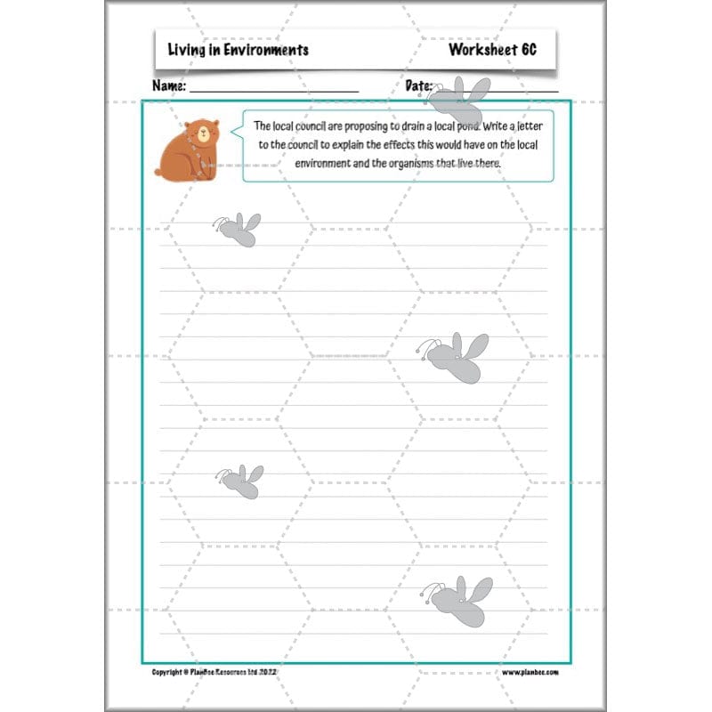 PlanBee Living Things and their Habitats Year 4 Science Lessons