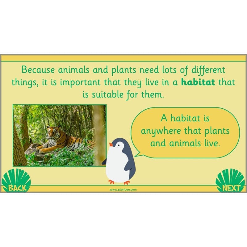 PlanBee Living Things and their Habitats Year 2 Science by PlanBee