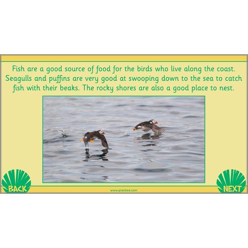 PlanBee Living Things and their Habitats Year 2 Science by PlanBee