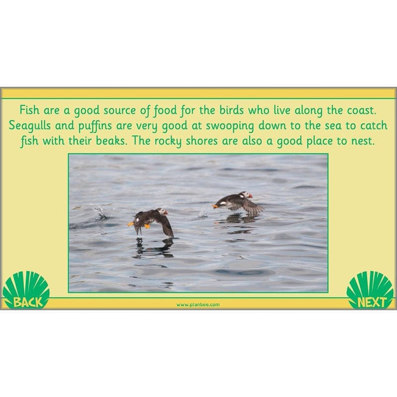 Living Things and their Habitats Year 2 Science by PlanBee