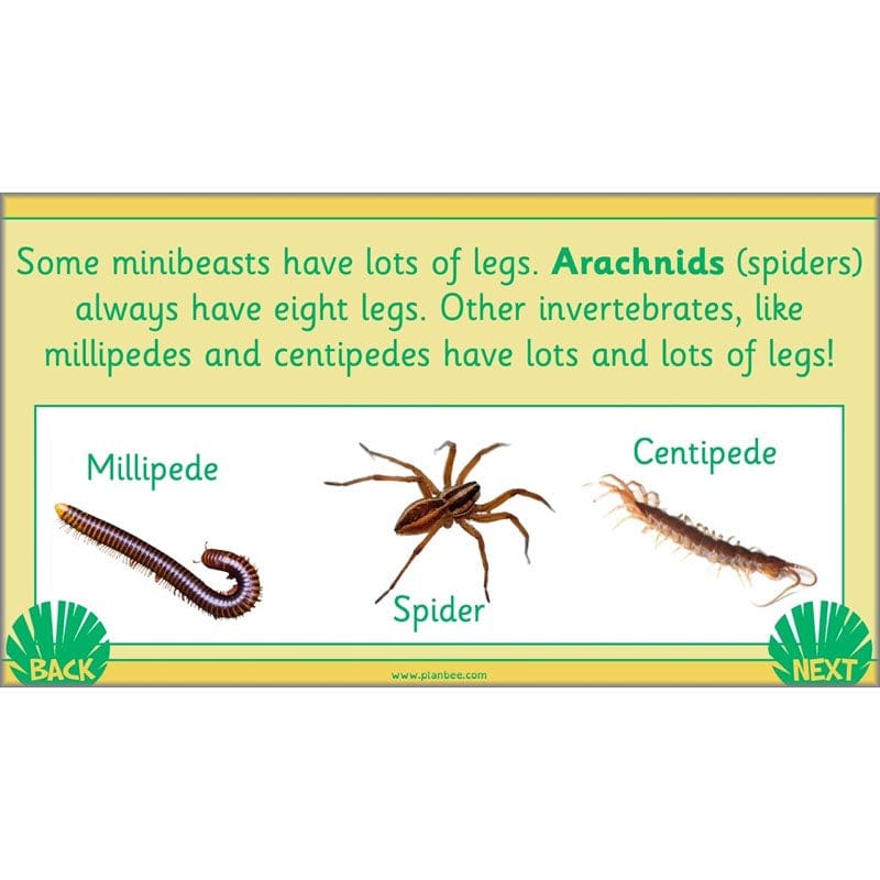 PlanBee Living Things and their Habitats Year 2 Science by PlanBee