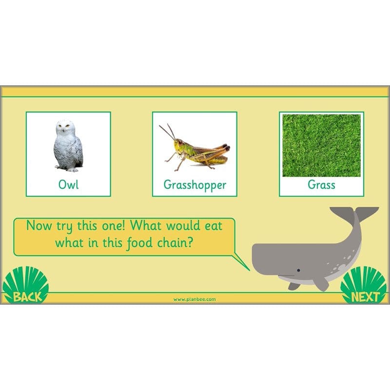 PlanBee Living Things and their Habitats Year 2 Science by PlanBee