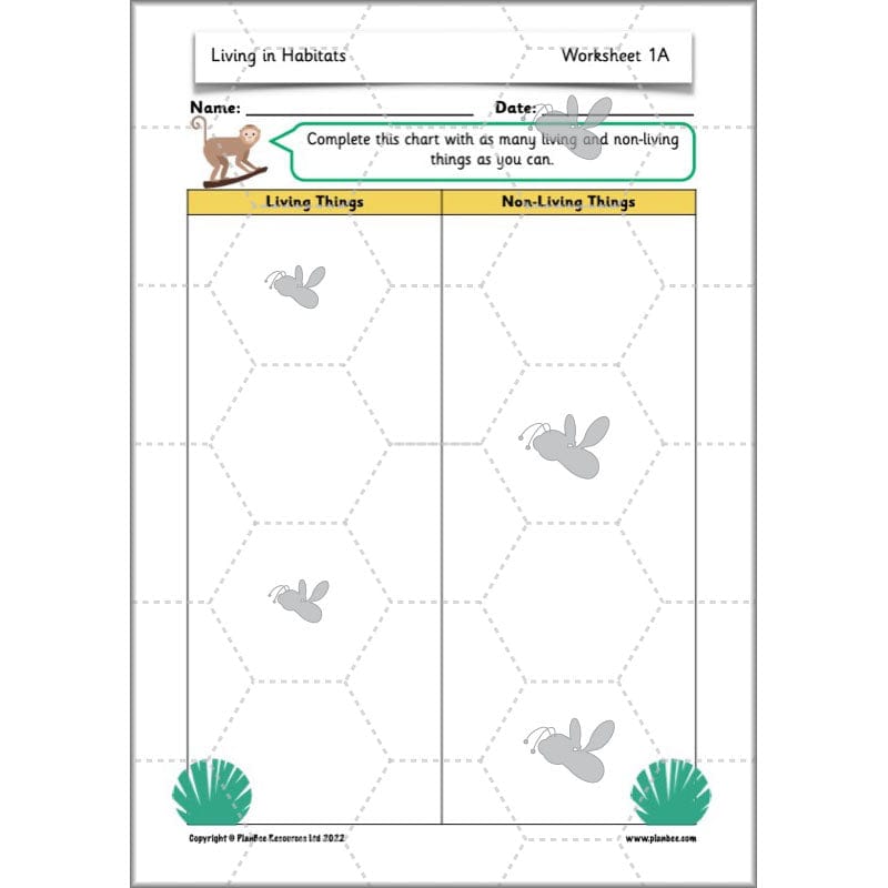 PlanBee Living Things and their Habitats Year 2 Science by PlanBee