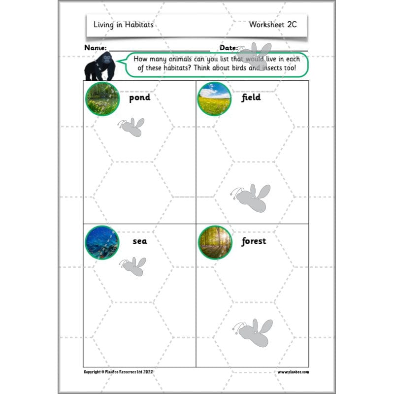 PlanBee Living Things and their Habitats Year 2 Science by PlanBee