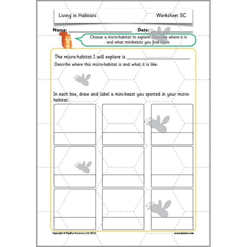 PlanBee Living Things and their Habitats Year 2 Science by PlanBee