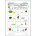 PlanBee Living Things and their Habitats Year 2 Science by PlanBee