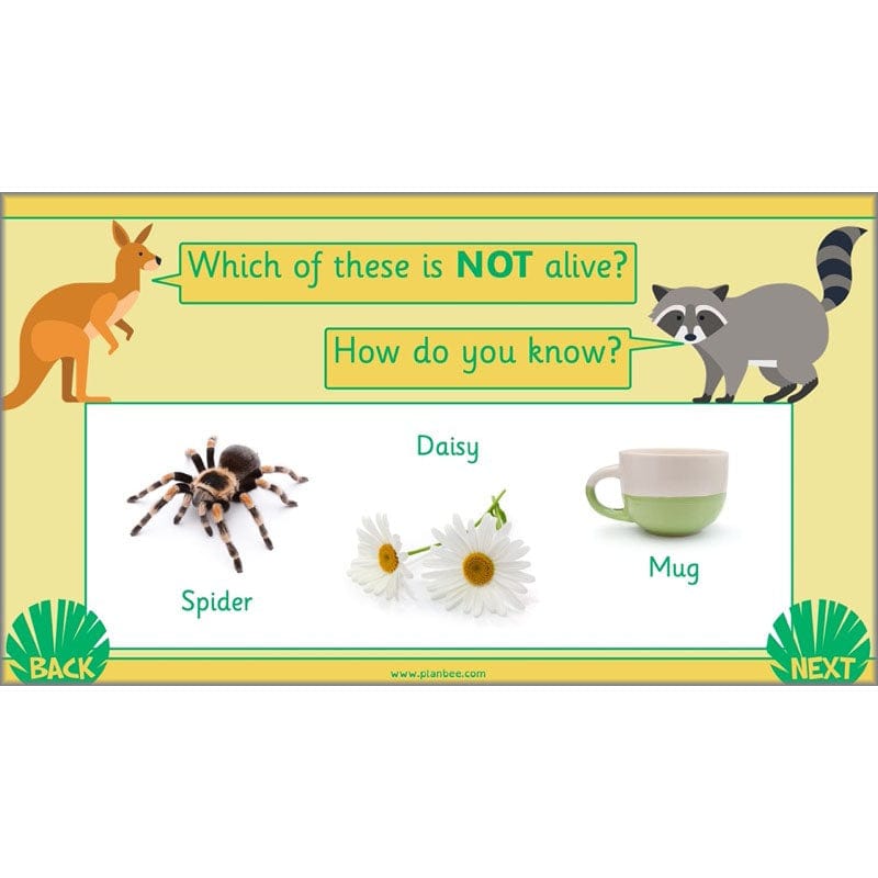 PlanBee Living Things and their Habitats Year 2 Science by PlanBee