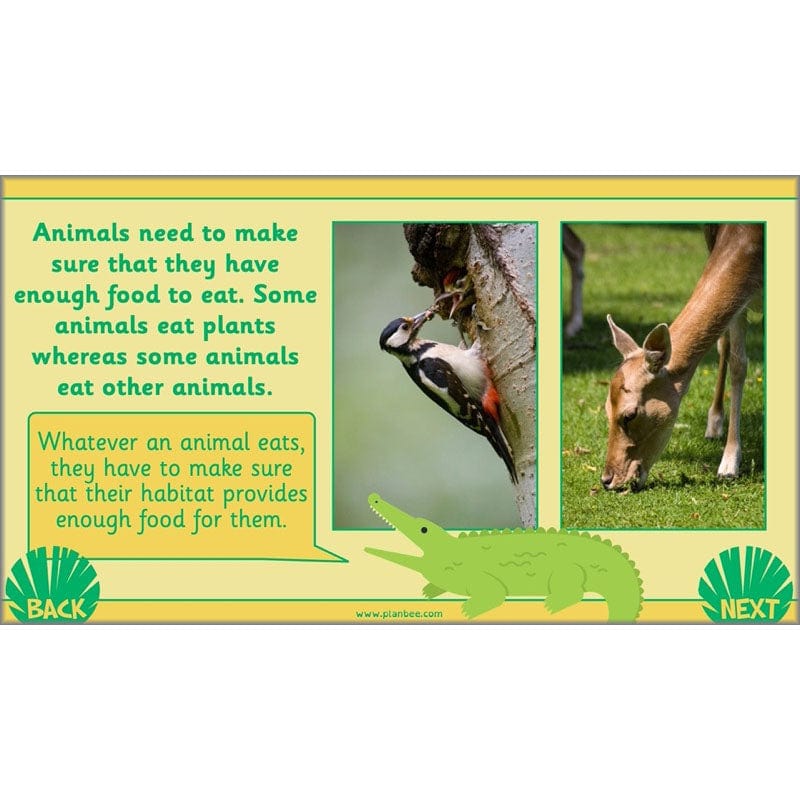 PlanBee Living Things and their Habitats Year 2 Science by PlanBee