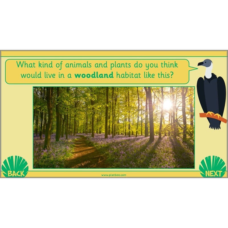 PlanBee Living Things and their Habitats Year 2 Science by PlanBee