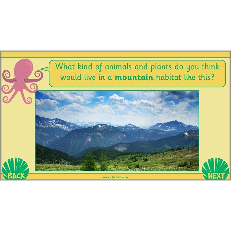 PlanBee Living Things and their Habitats Year 2 Science by PlanBee