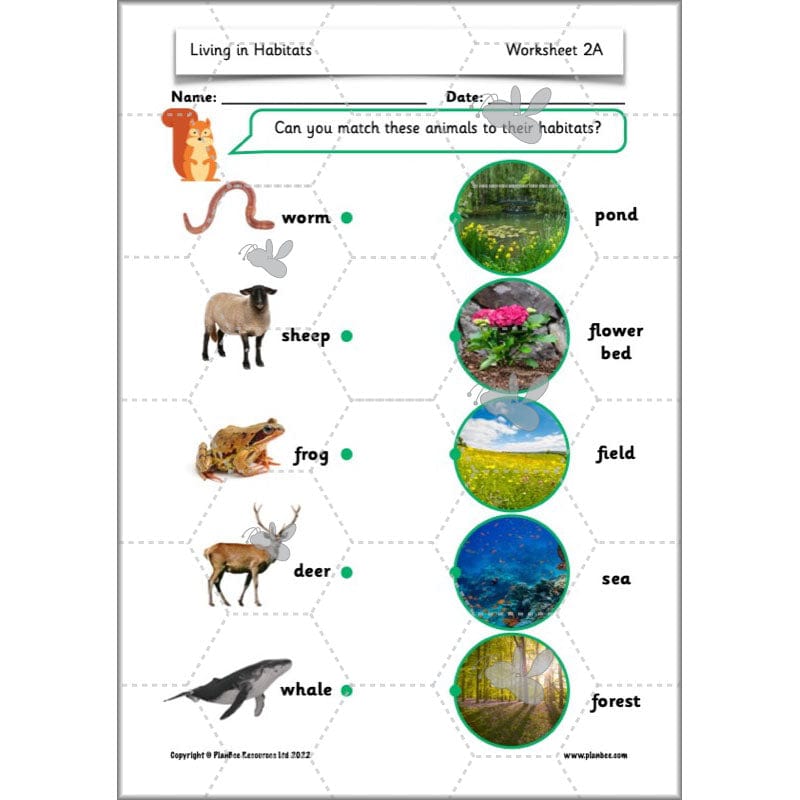 PlanBee Living Things and their Habitats Year 2 Science by PlanBee