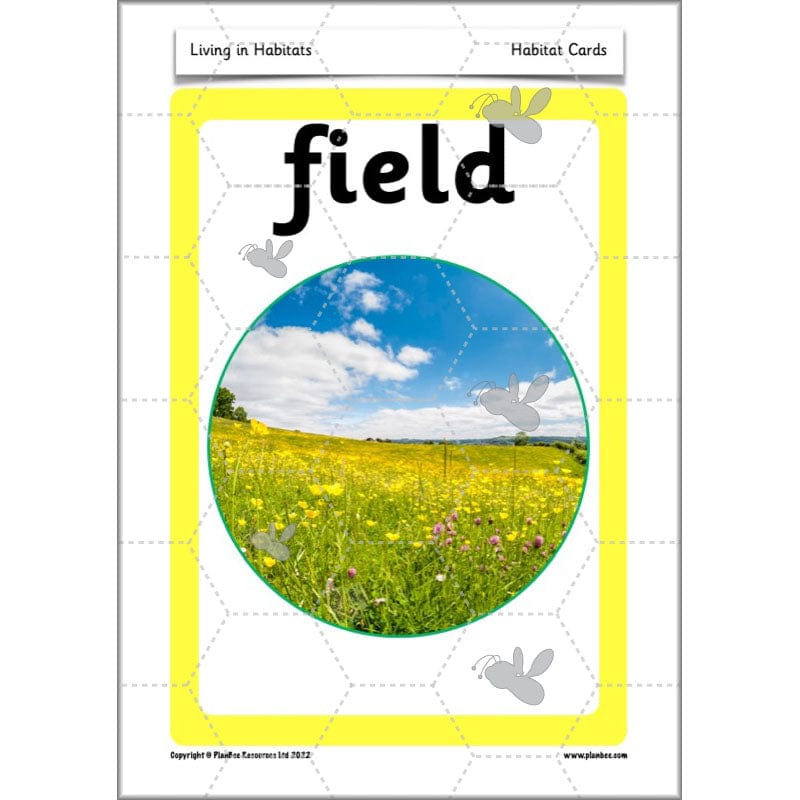 PlanBee Living Things and their Habitats Year 2 Science by PlanBee