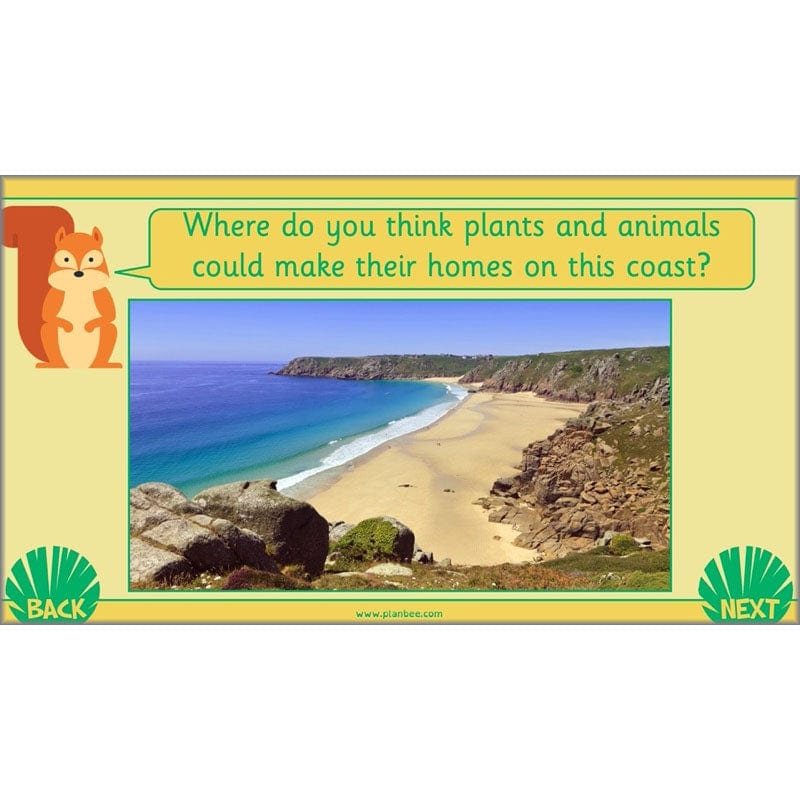 PlanBee Living Things and their Habitats Year 2 Science by PlanBee