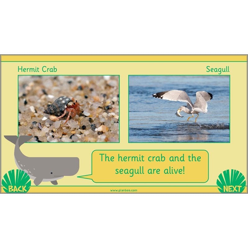 PlanBee Living Things and their Habitats Year 2 Science by PlanBee